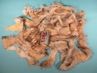North American Badger Fur Scrap (lb) 